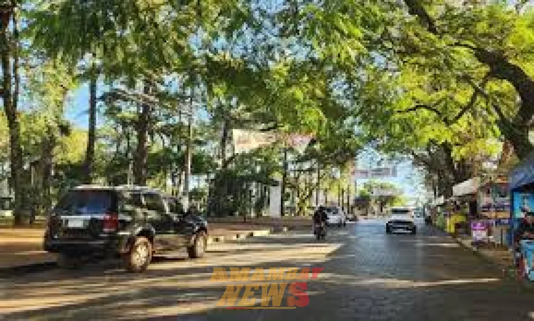 Clima: Lunes fresco a cálido y soleado, pronostica Meteorología