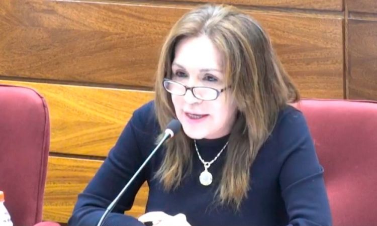 Plata a partidos: se tuvo que hacer cortes a gastos superfluos, afirman