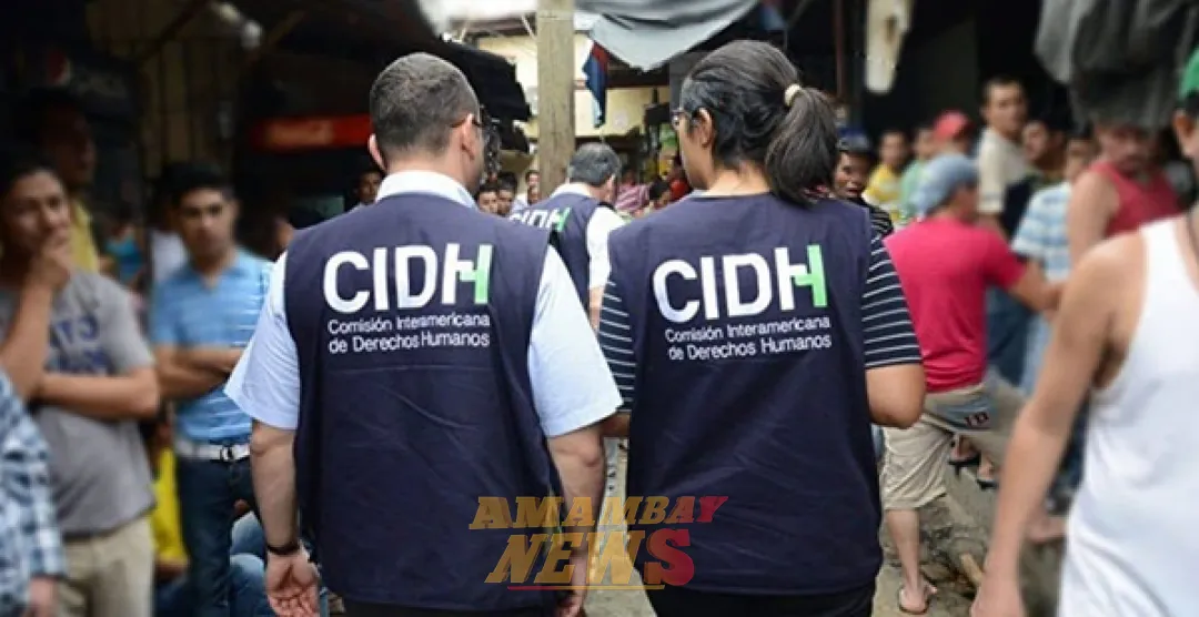 Ley “Anti-ONG”: CIDH alerta sobre riesgos para la sociedad civil