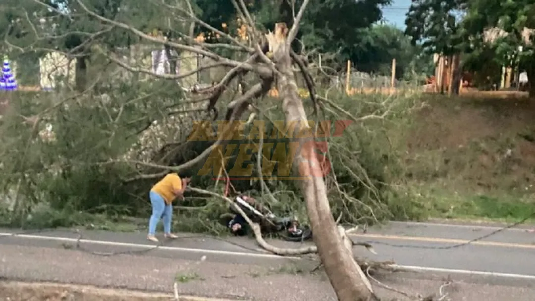 Árbol cae sobre motociclista por fuertes vientos en Yby Yaú