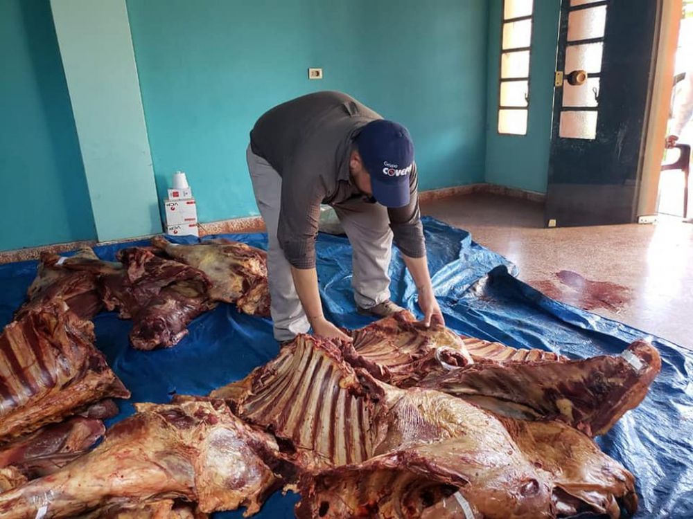 Incautan 510 kilos de carne en caso de supuesto abigeato