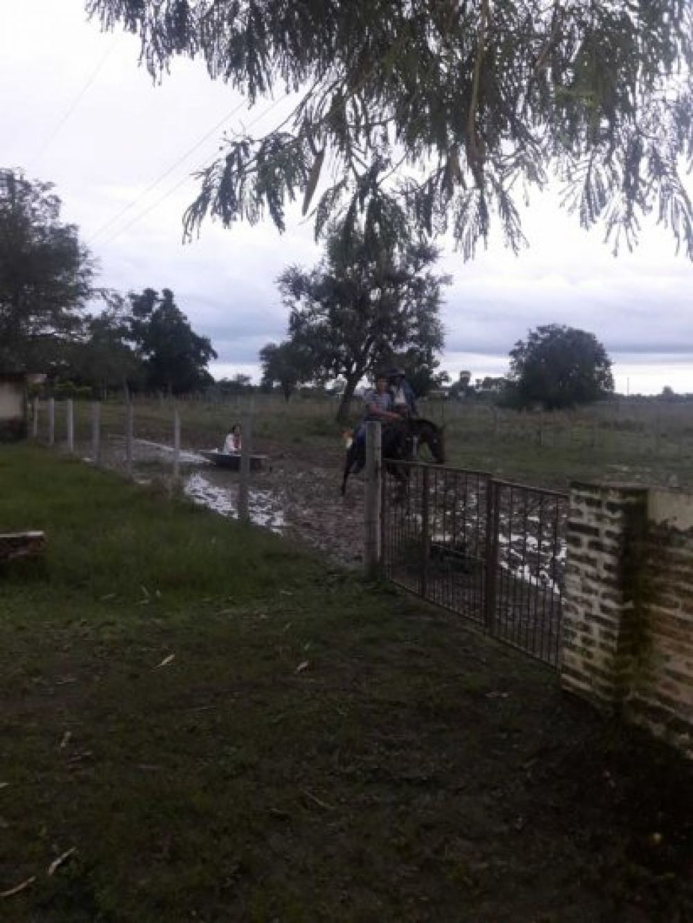 Paciente llegó al hospital en una canoa estirada por un caballo