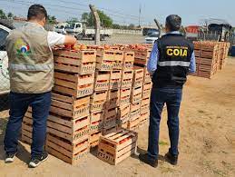 Aumentan controles e incautaciones en la luchar contra el contrabando