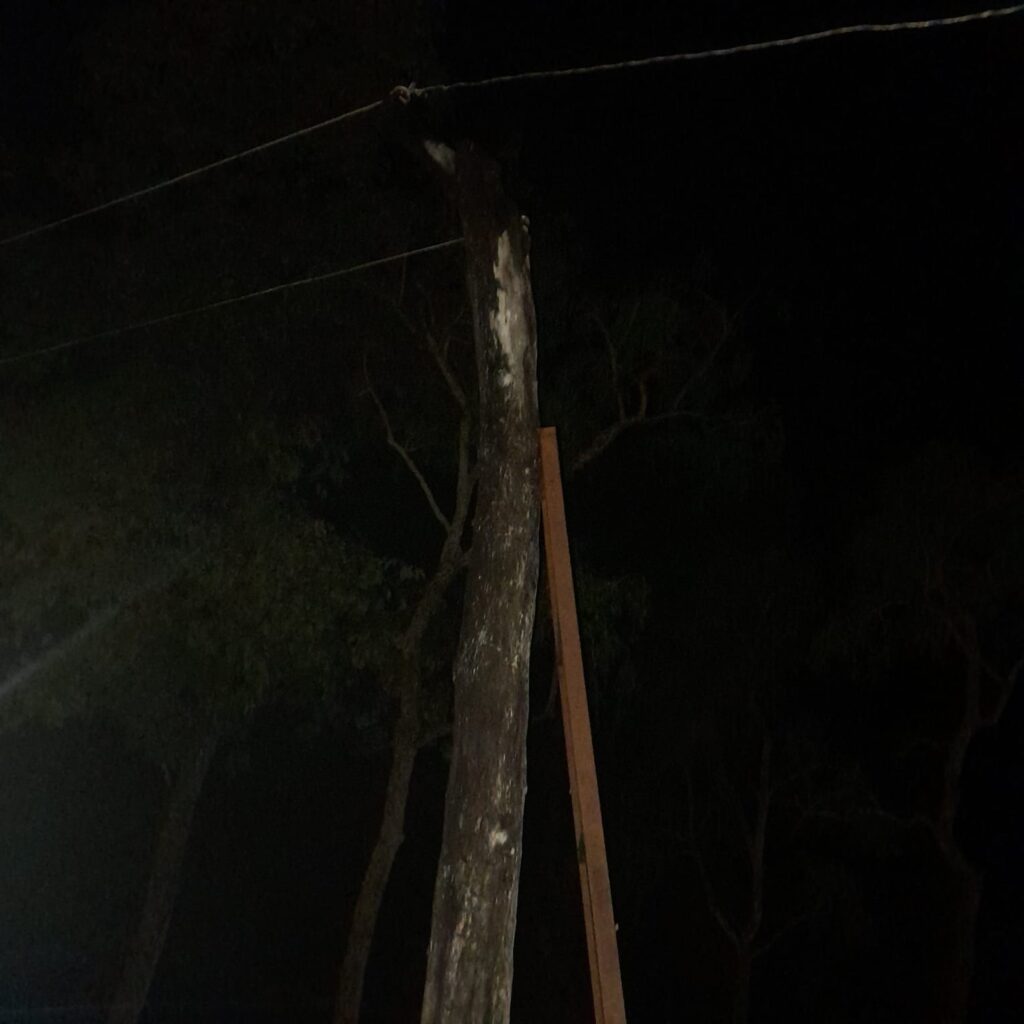 Hombre muere electrocutado en Puentesiño