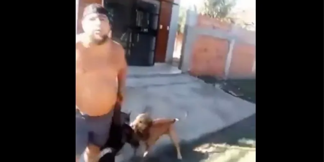 Celebran encarcelamiento de hombre que degolló a un perro