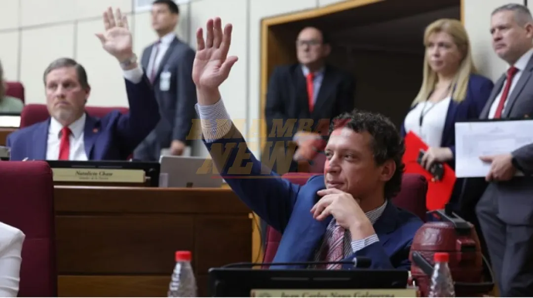 Senado sanciona ley que afecta el voto de paraguayos en el exterior