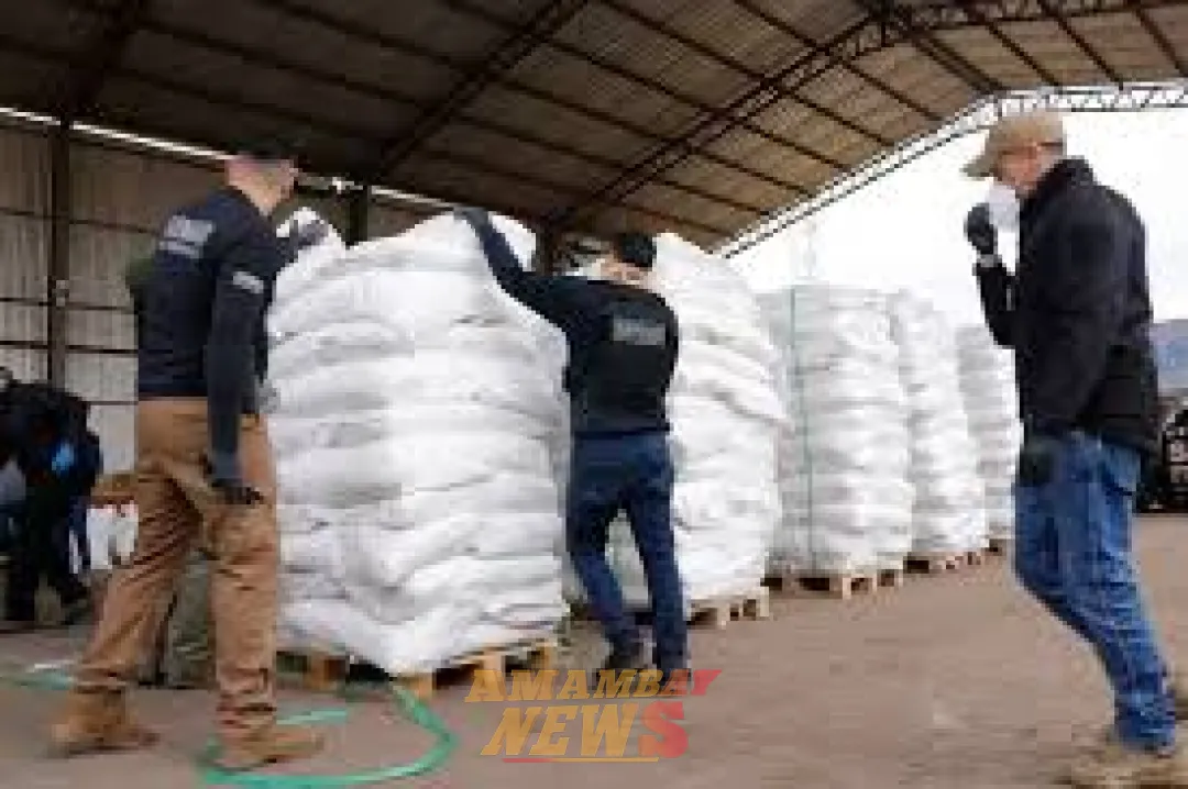 Chofer podría sustraerse del proceso por megacarga de cocaína y se ordena prisión