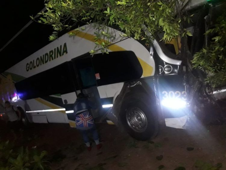 Automovilista muere tras chocar contra un ómnibus en Horqueta