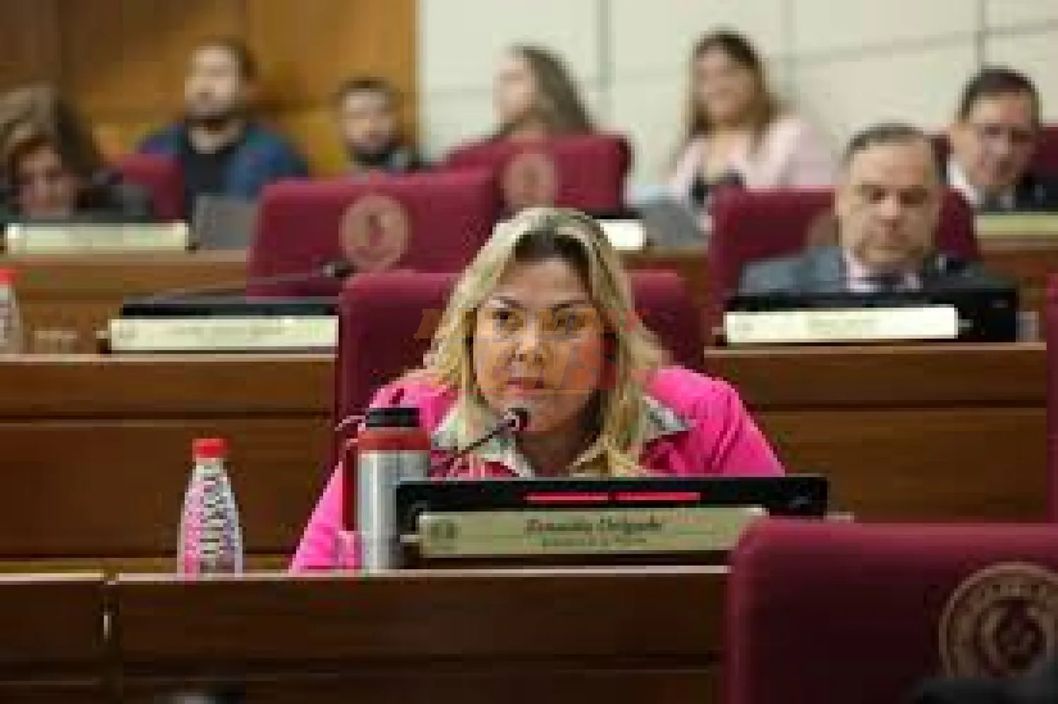 Senadoras exigen a Bachi Núñez investigar denuncia contra Zenaida Delgado