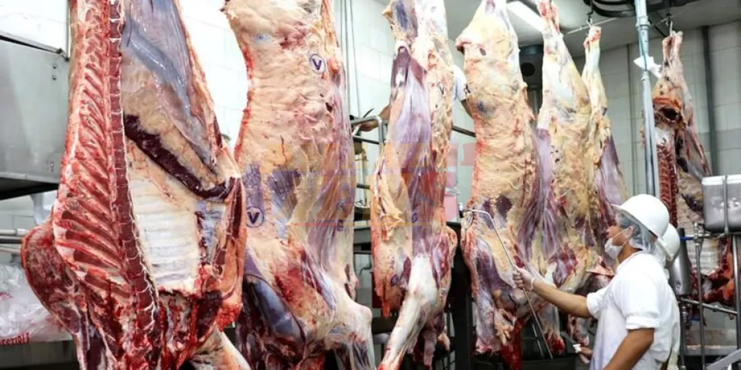Estiman que unos 2.200.000 animales son faenados al ao en los frigorficos paraguayos