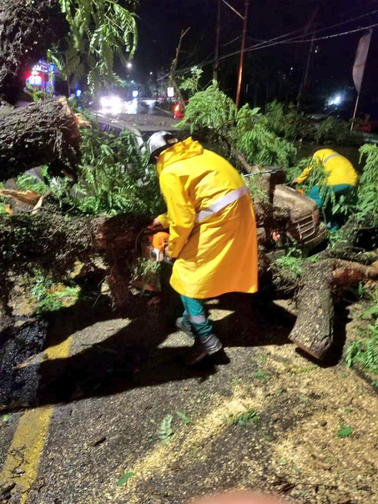 Temporal de ayer con fuertes vientos y alerta continúa para el norte del país