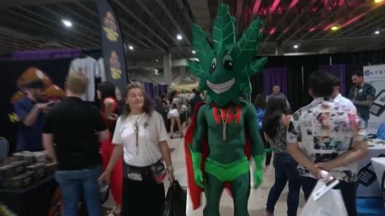 EEUU | Miami celebra la Feria de la Marihuana con 40 conferenciantes y 150 expositores y vendedores