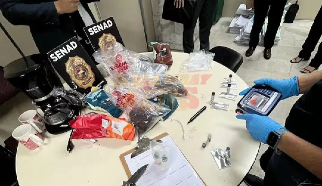 Senad descubre cocaína camuflada en envíos de café a Oceanía