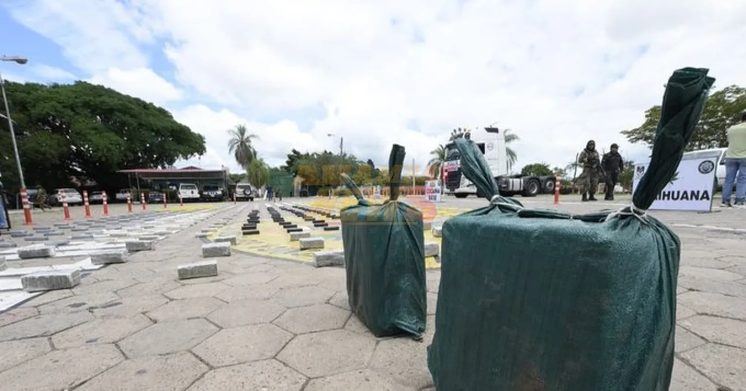 Incautan cerca de media tonelada de droga en nueve operativos en Bolivia