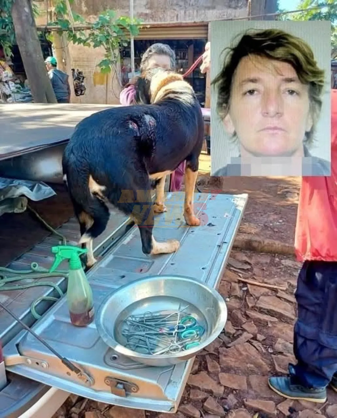 Baleó al perro de su vecina