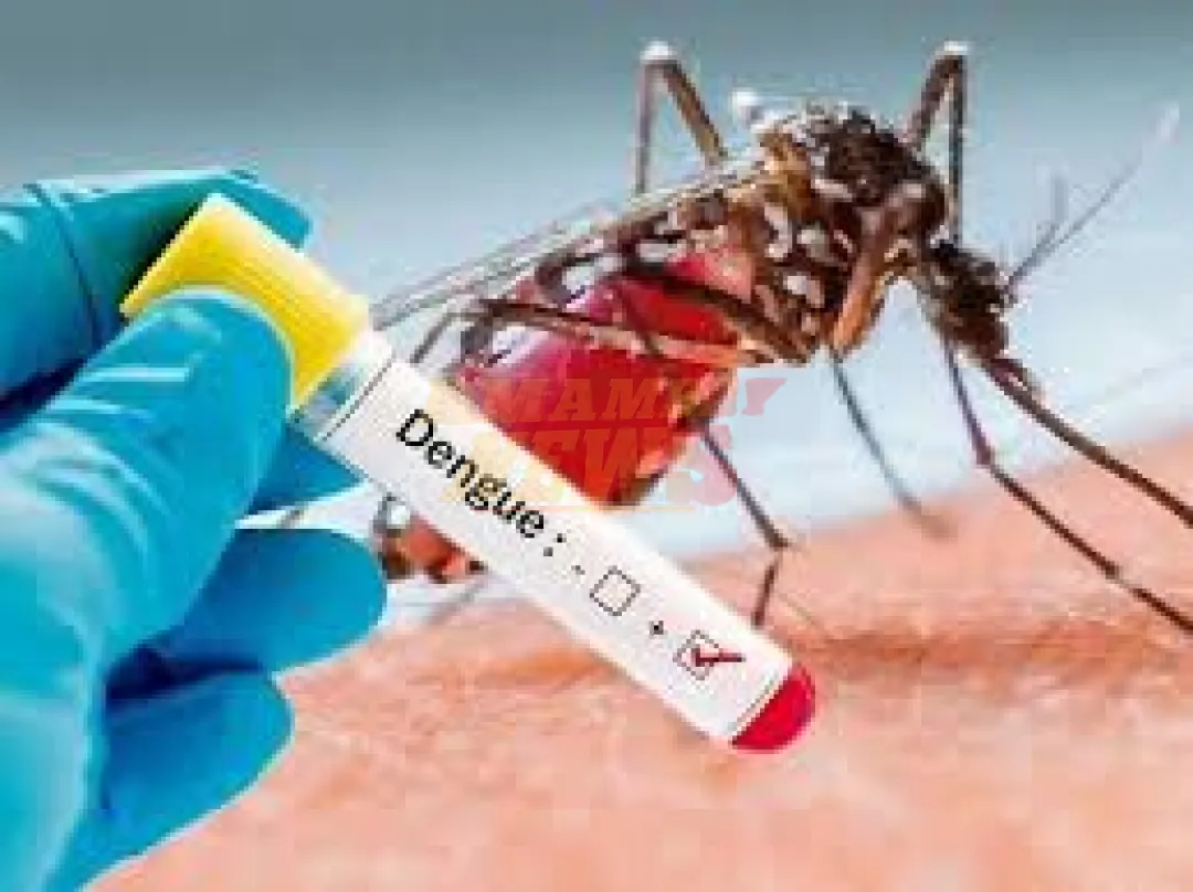 Once regiones del país registran aumento de casos de dengue, incluye Amambay