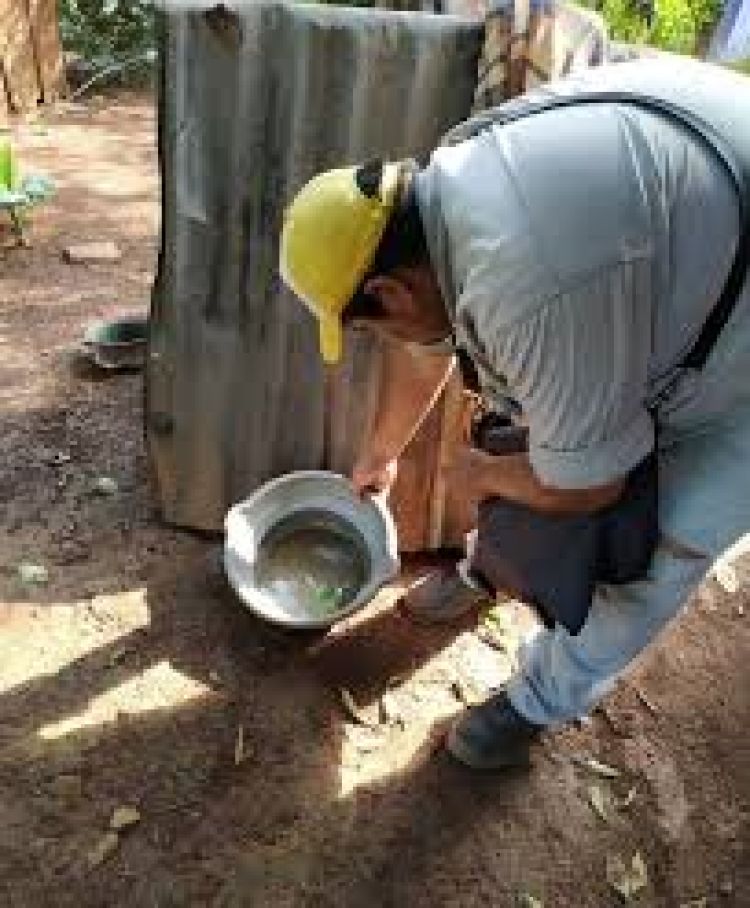 Exhortan a cumplir protocolo sanitario y eliminar criaderos para evitar brote simultáneo de covid y dengue