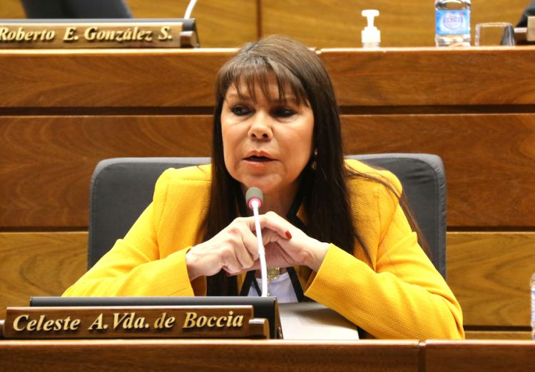 Núñez pide tratar denuncia sobre diputados que ocupan bancas con dinero sucio