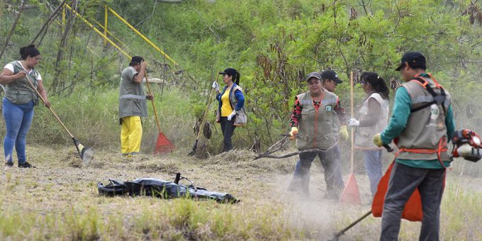 Chikungunya: “Fumigación no es suficiente”, advierte Senepa y pide eliminar criaderos