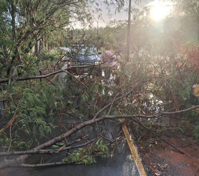 Clausuran temporalmente parques Guasu Metropolitano y Ñu Guasu