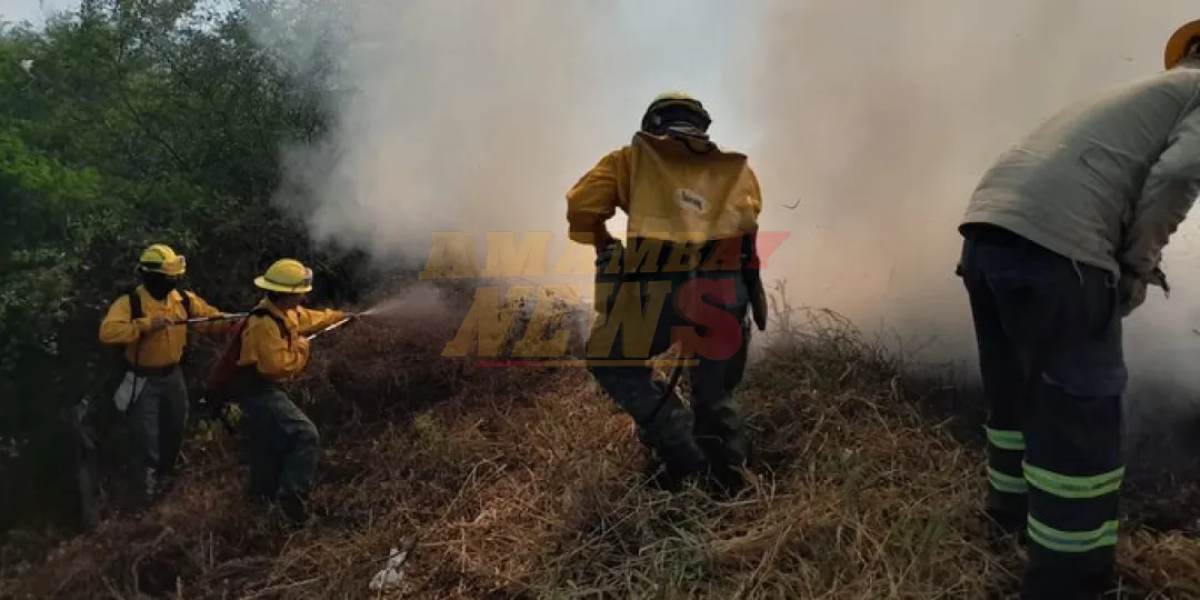 Reportan incendio sobre la ruta Luque-San Bernardino