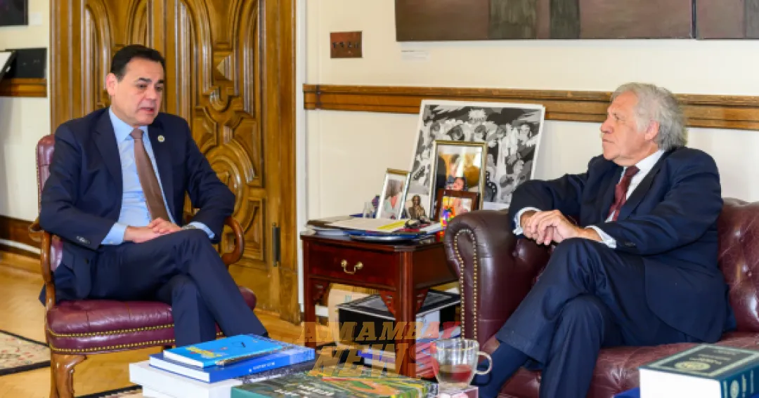 Lezcano se adelanta a un posible revés y baja su candidatura a la OEA