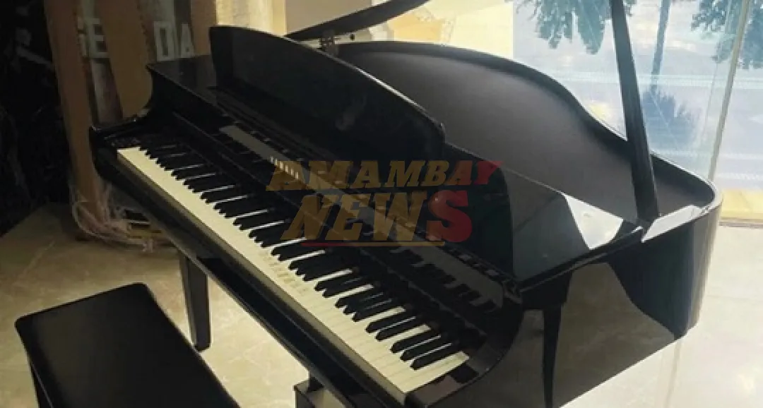 Senabico subastará bienes desde: un piano hasta inmuebles