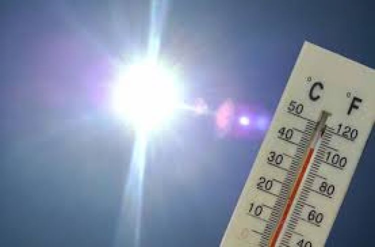 Clima soleado y caluroso para este domingo