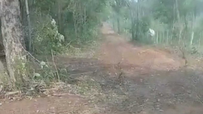 Pobladores de Concepción rechazan posible instalación de vertedero en zona de arroyo