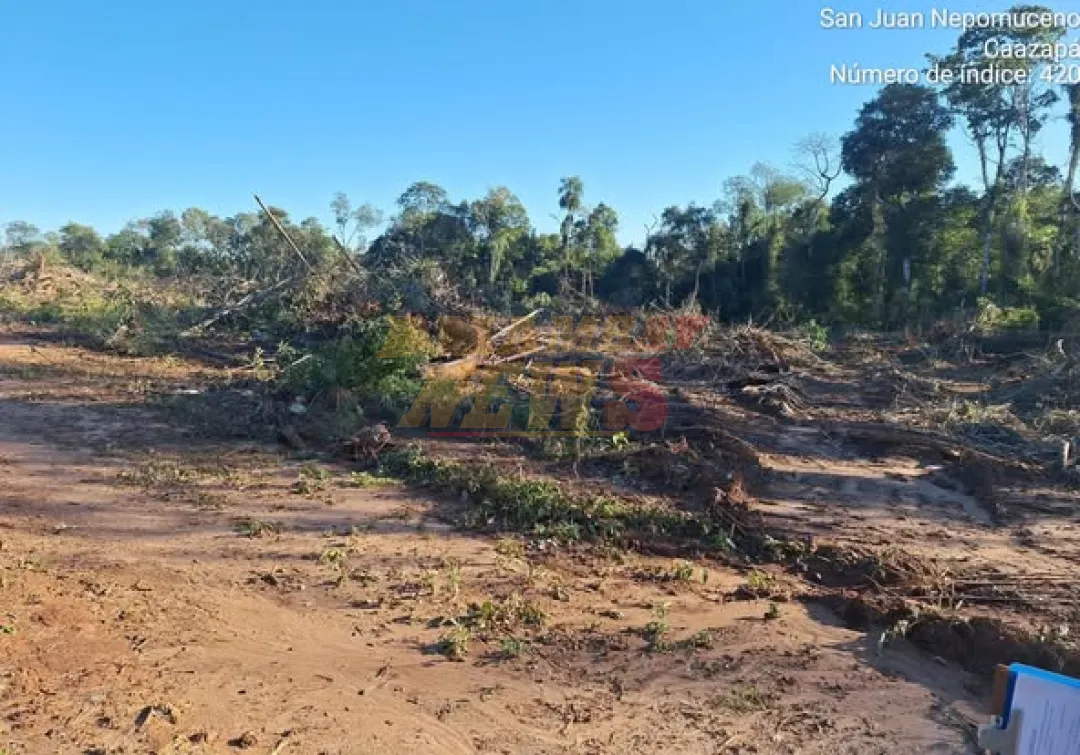 Fiscalía indaga posible deforestación ilegal en San Juan Nepomuceno