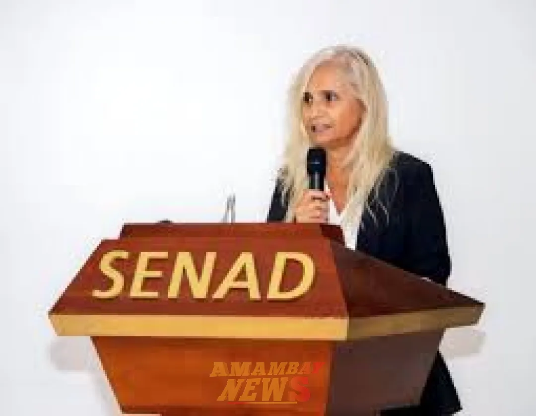 Senad retira protección a la exministra Zully Rolón