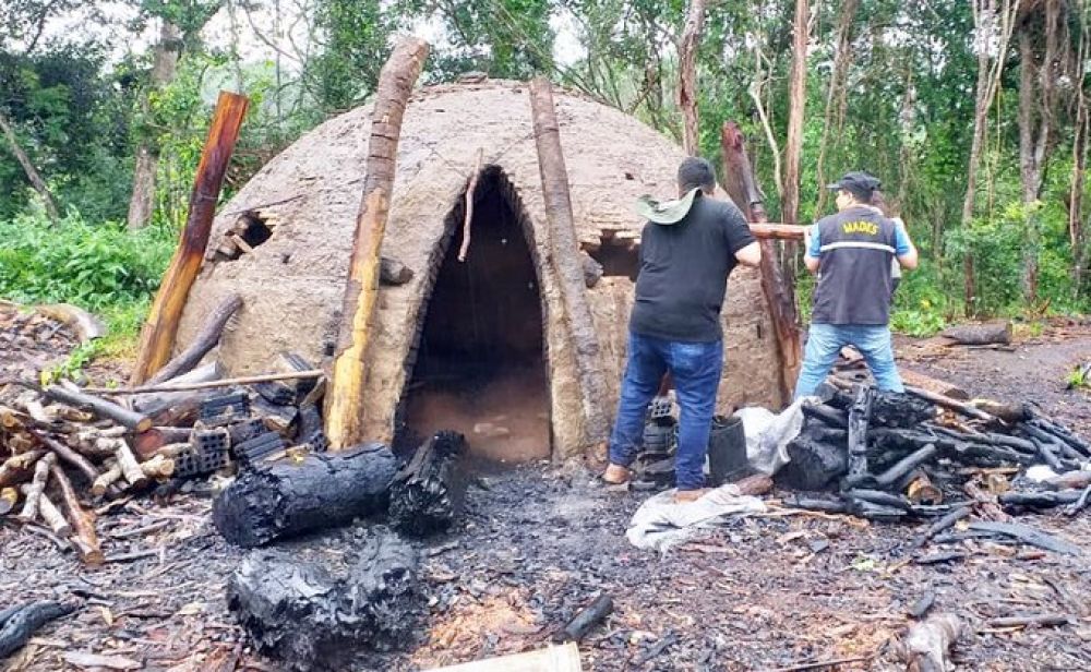 Hallan y destruyen hornos de producción de carbón en la Reserva Morombi