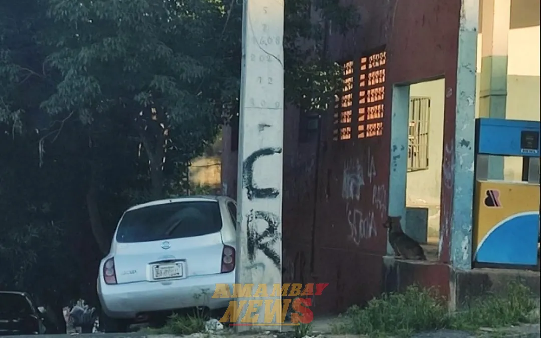 Aparición de grafitis del Clan Rotela alarma a vecinos en Sajonia