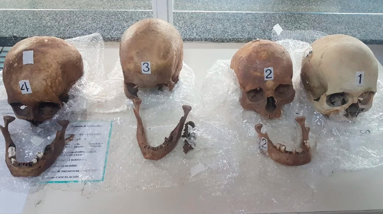 Una mujer llevaba 4 cráneos humanos en su maleta de Paraguay a Argentina