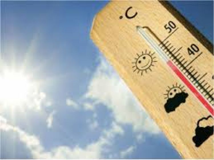 Viernes caluroso con temperaturas de hasta 41C