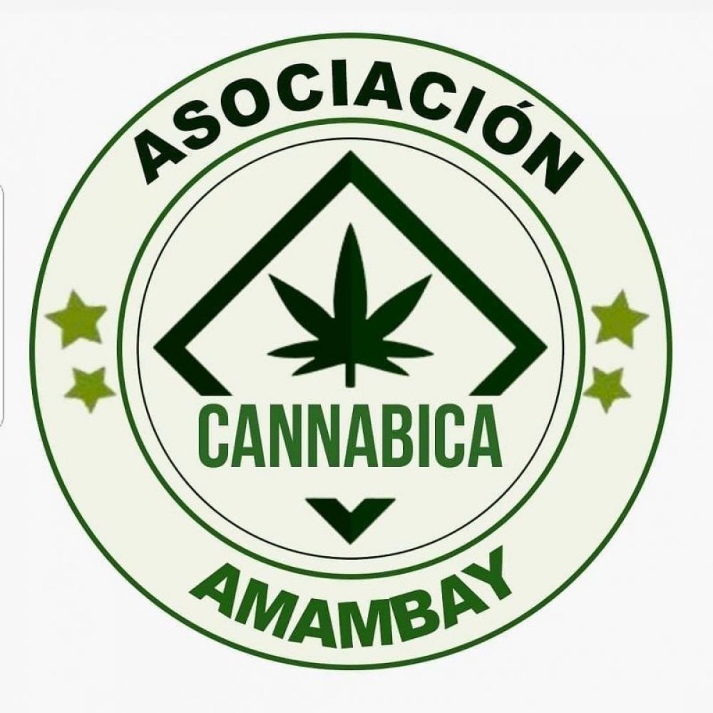 Conformaron la Asociación Cannabica Medicinal del Amambay