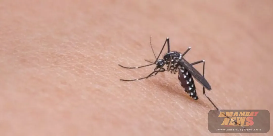 Continúa la baja incidencia de los casos de dengue en el país