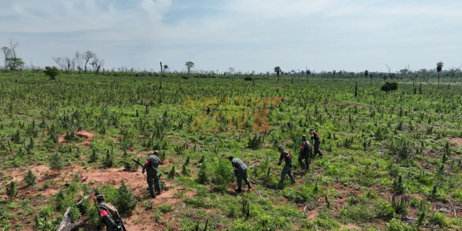 Operación CUT golpea fuerte al narcotráfico en el norte del país