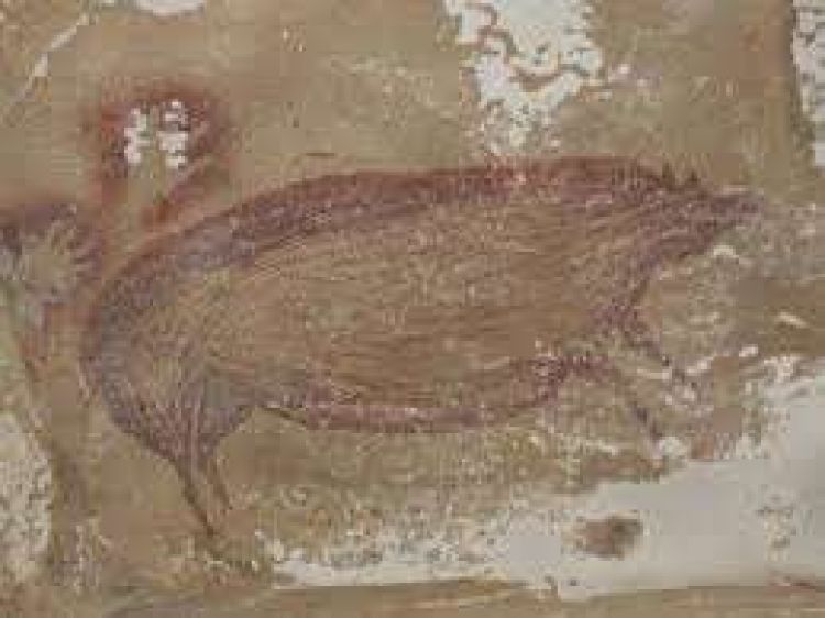 Descubren la pintura rupestre figurativa más antigua del mundo