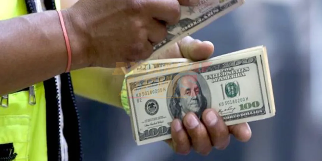 Suba del dólar: Cámara de Comercio y Servicios respalda decisiones técnicas del BCP