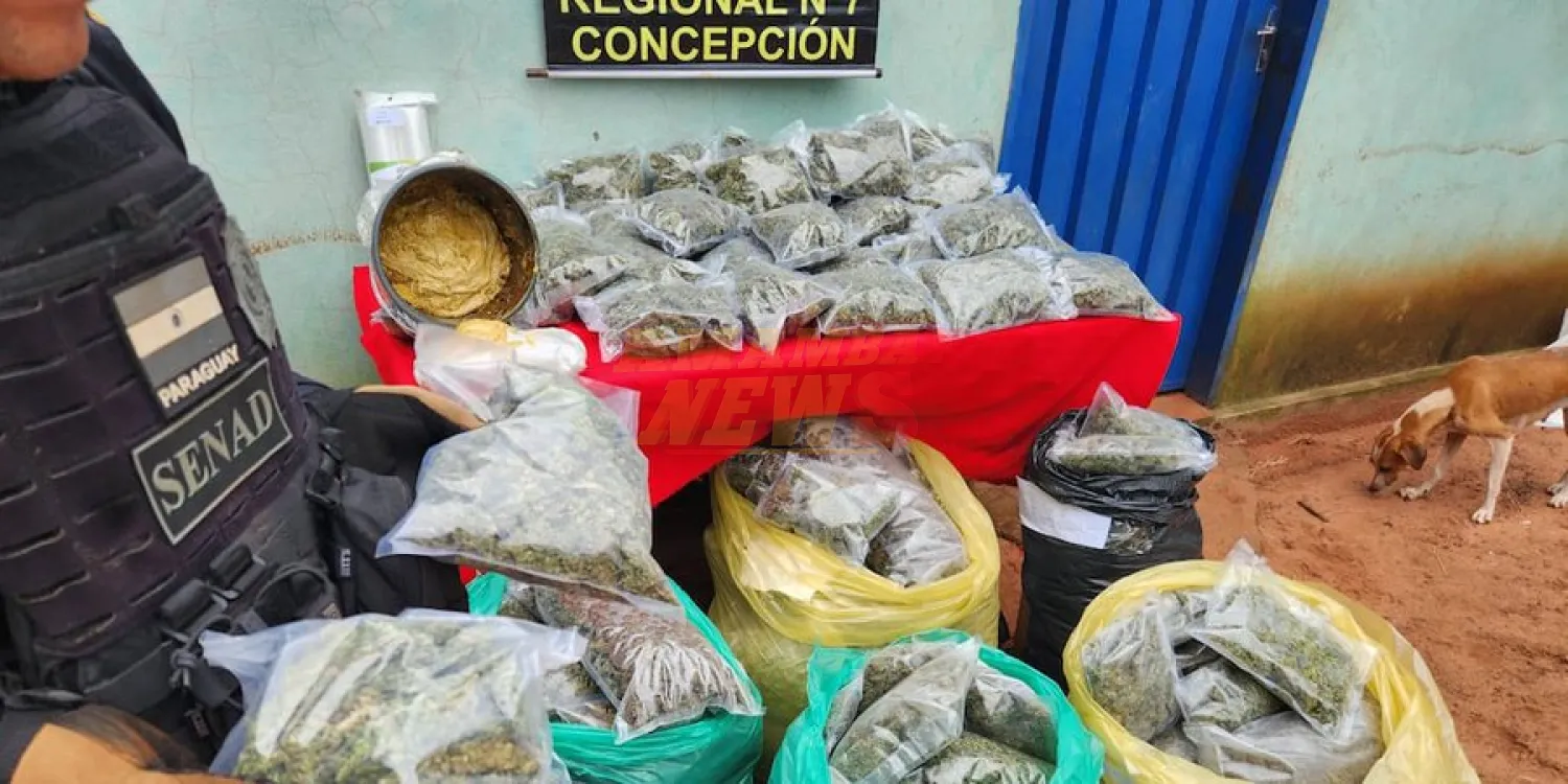 SENAD desmantela laboratorio de marihuana tipo “Skunk” en Tacuatí