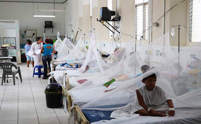 Dengue: advierten que la etapa de «aparente mejoría» es la más peligrosa