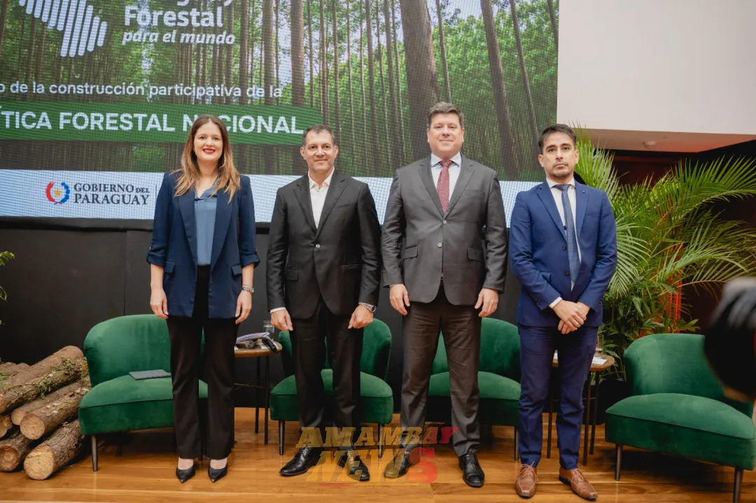 INFONA inicia proceso de participación para generar una Política Forestal Nacional