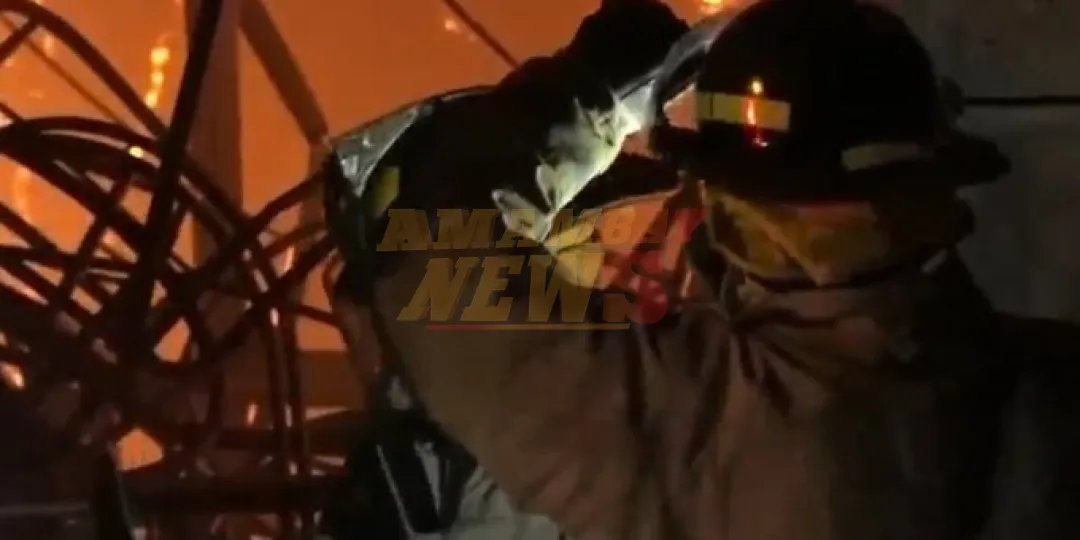 Incendio consumió el 100 % de una mueblería en Lambaré