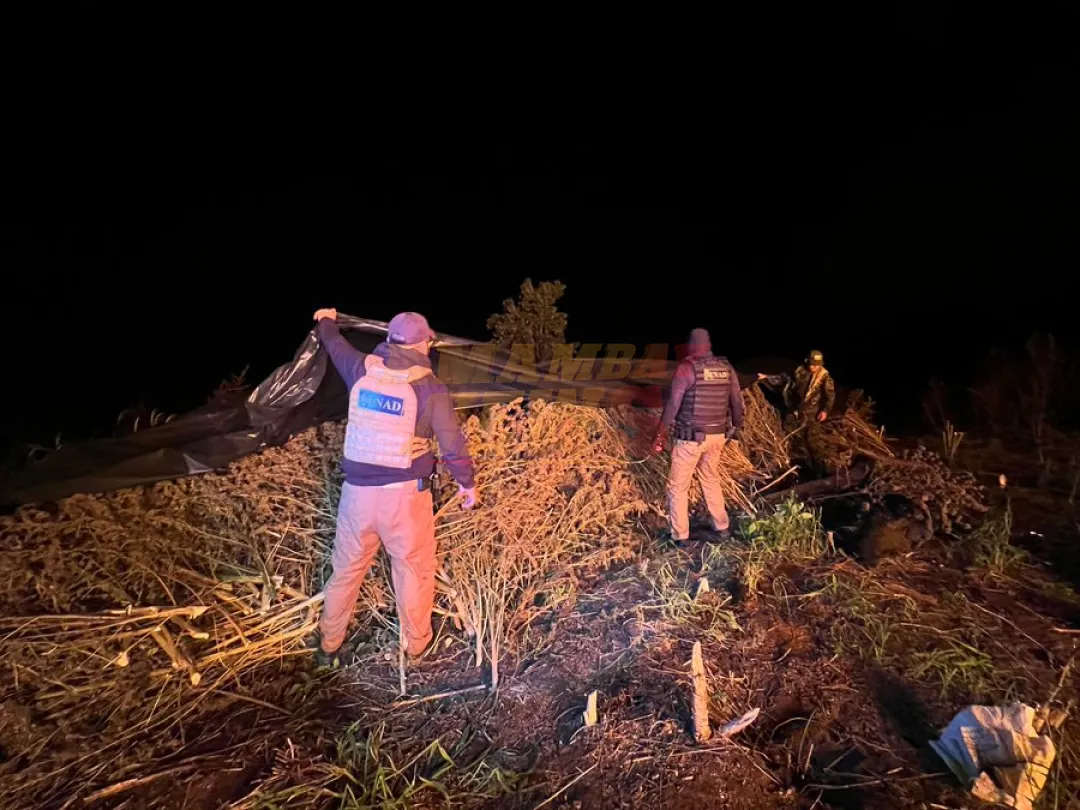 Desmantelan centro de acopio y procesamiento con 18 toneladas de marihuana