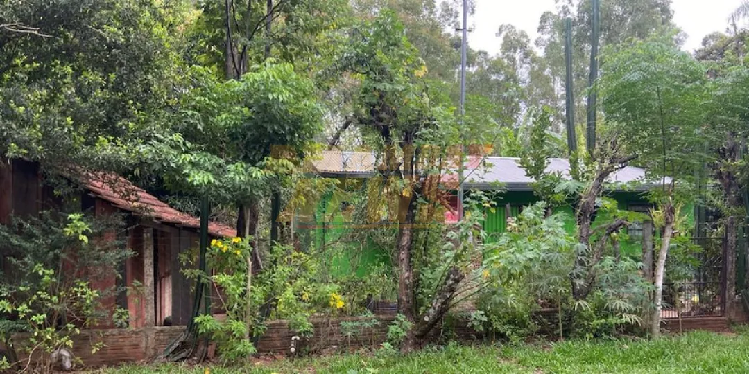 Mujer mantuvo una discusión con su hijo y acabó disparándole de forma accidental