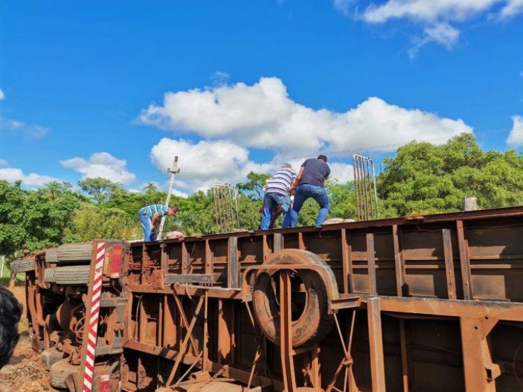 Camión transportador de cerdos volcó en San José de los Arroyos