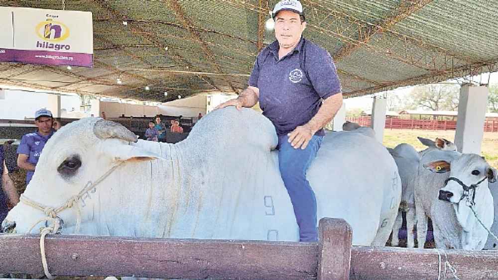 La ganadería está de fiesta en Concepción