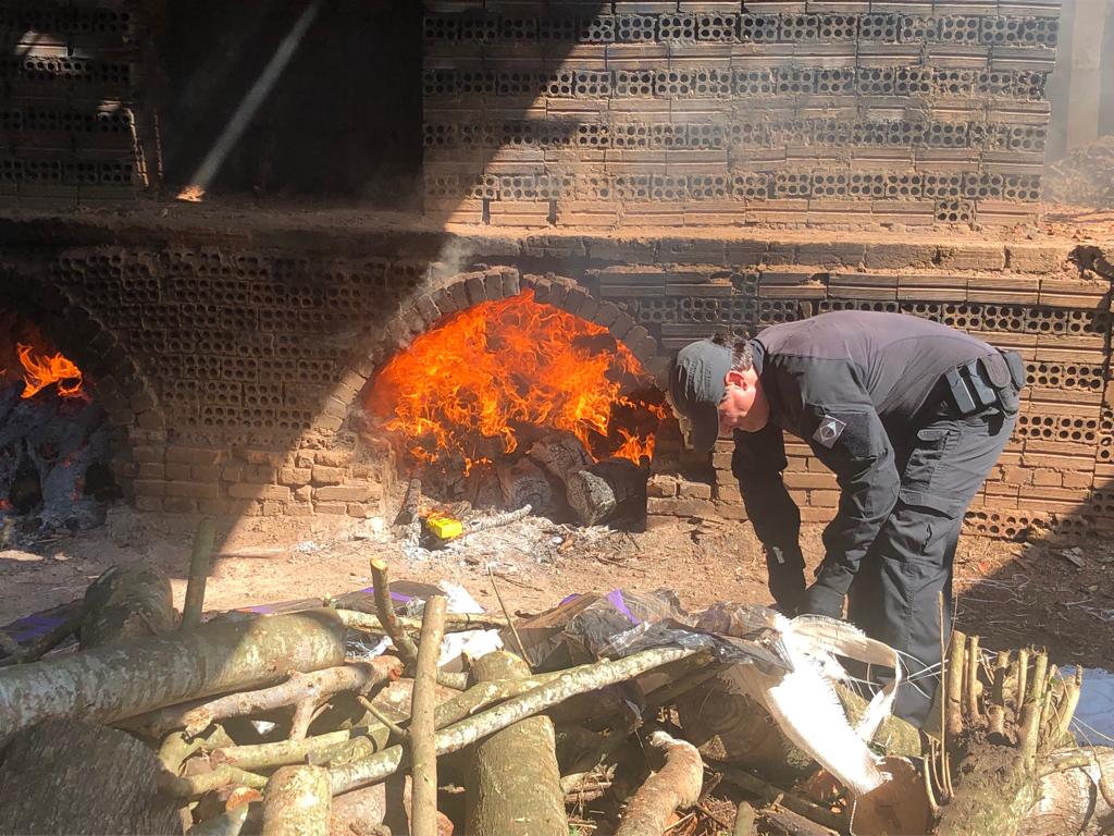 En Brasil destruyeron 24 toneladas de drogas que ingresaron desde Paraguay en este 2022