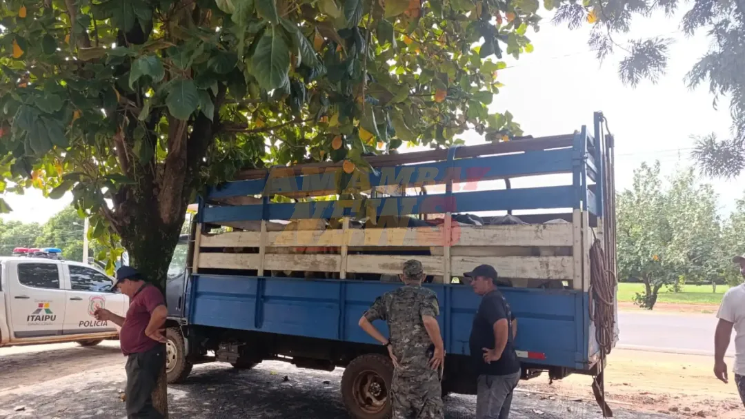 Detienen a un conductor que transportaba animales sin documentos en San Pedro